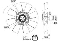 MAHLE CFF421000S - Ventilador, refrigeración del motor - BEHR