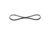 BOSCH 1987946109 - Correa trapecial poli V - Elastic