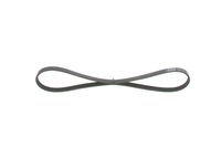 BOSCH 1987946133 - Correa trapecial poli V - Elastic