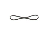 BOSCH 1987946111 - Correa trapecial poli V - Elastic