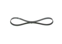 BOSCH 1987946116 - Correa trapecial poli V - Elastic