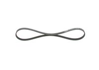 BOSCH 1987946118 - Correa trapecial poli V - Elastic