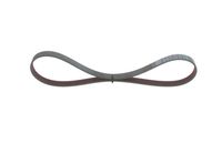 BOSCH 1987946128 - Correa trapecial poli V - Elastic