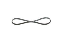 BOSCH 1987946106 - Correa trapecial poli V - Elastic