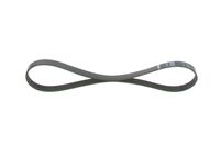 BOSCH 1987946142 - Correa trapecial poli V - Elastic