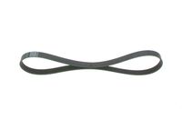 BOSCH 1987946143 - Correa trapecial poli V - Elastic