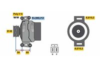 BOSCH 0 986 081 300 - Alternador