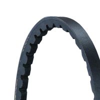 CONTINENTAL CTAM 2XAVX10X1000 - Juego de correas trapezoidales