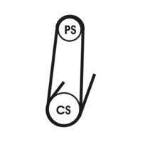 CONTINENTAL CTAM 4PK1022ELAST - Correa trapecial poli V