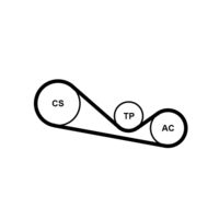 CONTINENTAL CTAM 4PK1237K1 - Juego de correas trapeciales poli V