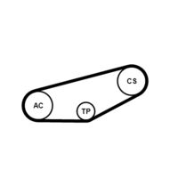 CONTINENTAL CTAM 4PK855K1 - 