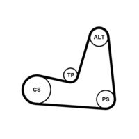 CONTINENTAL CTAM 5PK1135K1 - 