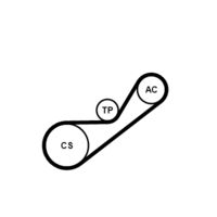 CONTINENTAL CTAM 4PK925K1 - Juego de correas trapeciales poli V