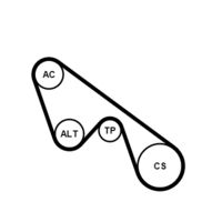 CONTINENTAL CTAM 5PK1150K1 - Juego de correas trapeciales poli V