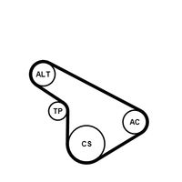 CONTINENTAL CTAM 5PK1212K1 - Juego de correas trapeciales poli V