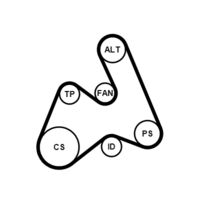 CONTINENTAL CTAM 5PK1592K1 - Juego de correas trapeciales poli V