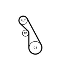 CONTINENTAL CTAM 5PK940K1 - Juego de correas trapeciales poli V