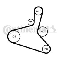 CONTINENTAL CTAM 6DPK1195K2 - Juego de correas trapeciales poli V