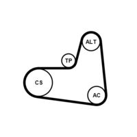 CONTINENTAL CTAM 6PK1005K1 - 