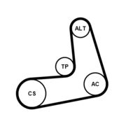 CONTINENTAL CTAM 6PK1005K2 - Juego de correas trapeciales poli V