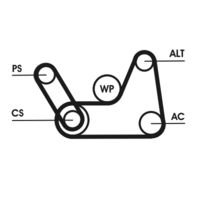 CONTINENTAL CTAM 5PK690ELAST - Correa trapecial poli V