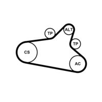 CONTINENTAL CTAM 6PK1020EXTRAK - 