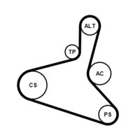 CONTINENTAL CTAM 6DPK1195K1 - Juego de correas trapeciales poli V