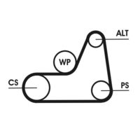 CONTINENTAL CTAM 6PK1042ELAST - Correa trapecial poli V