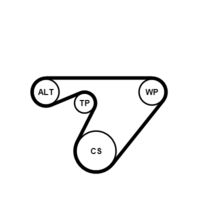 CONTINENTAL CTAM 6PK1180K3 - Juego de correas trapeciales poli V