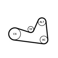 CONTINENTAL CTAM 6PK1200K1 - 