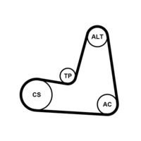 CONTINENTAL CTAM 6PK1130K2 - Juego de correas trapeciales poli V