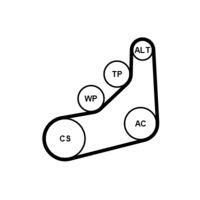 CONTINENTAL CTAM 6PK1157EXTRAK - Juego de correas trapeciales poli V