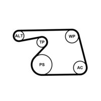 CONTINENTAL CTAM 6PK1318K2 - Unidades accionadas: Alternador<br>Equipamiento de vehículo: para vehículos sin aire acondicionado<br>Equipos/Rodillos: incl. rodillo tensor<br>long. de embalaje [cm]: 26,5<br>Ancho de embalaje [cm]: 16,5<br>h embalaje [cm]: 9,5<br>Peso [kg]: 0,99<br>