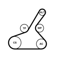 CONTINENTAL CTAM 6PK1190K1 - Juego de correas trapeciales poli V