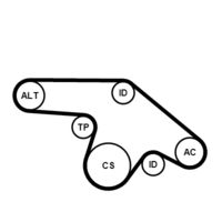 CONTINENTAL CTAM 6PK1370K1 - Juego de correas trapeciales poli V