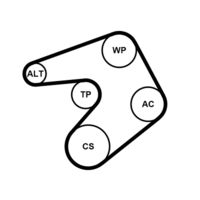 CONTINENTAL CTAM 6PK1244K1 - Juego de correas trapeciales poli V