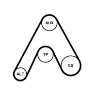 CONTINENTAL CTAM 6PK1217K3 - Juego de correas trapeciales poli V