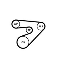 CONTINENTAL CTAM 6PK1453WP1 - 