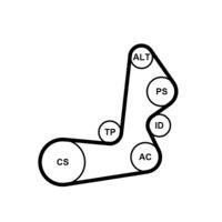 CONTINENTAL CTAM 6PK1515K1 - Juego de correas trapeciales poli V