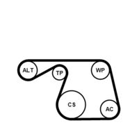 CONTINENTAL CTAM 6PK1310K1 - Juego de correas trapeciales poli V