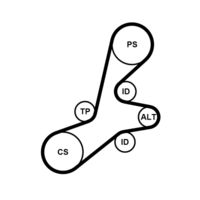 CONTINENTAL CTAM 6PK1352K1 - Juego de correas trapeciales poli V