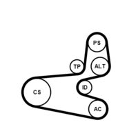 CONTINENTAL CTAM 6PK1560K1 - Juego de correas trapeciales poli V