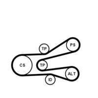 CONTINENTAL CTAM 6PK1440K1 - Juego de correas trapeciales poli V