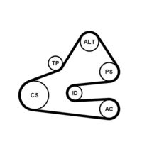 CONTINENTAL CTAM 6PK1613K1 - 