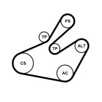 CONTINENTAL CTAM 6PK1468K1 - Juego de correas trapeciales poli V