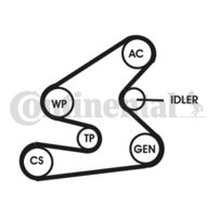 CONTINENTAL CTAM 6PK1623D1 - Juego de correas trapeciales poli V