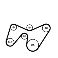 CONTINENTAL CTAM 6PK1642K2 - Juego de correas trapeciales poli V