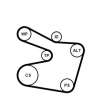 CONTINENTAL CTAM 6PK1538K2 - Juego de correas trapeciales poli V