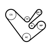 CONTINENTAL CTAM 6PK1555K4 - Juego de correas trapeciales poli V