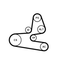 CONTINENTAL CTAM 6PK1564K1 - Juego de correas trapeciales poli V